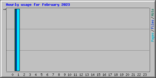 Hourly usage for February 2023